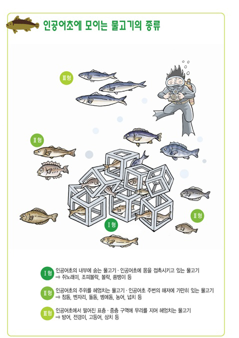 인공어초에 모이는 물고기의 종류 1형-인공어초의 내부에 숨는 물고기?인공어초에 몸을 접촉시키고 있는 물고기 종류-쥐노래미,조피볼락,볼락,쏨뱅이 등 2형-인공어초의 주위를 헤엄치는 물고기?인공어초 주변의 해저에 가만히 있는 물고기 종류-참돔,벤자리,돌돔,벵에돔,농어,넙치 등 3형-인공어초에서 떨어진 표층?중층 구역에 무리를 지어 헤엄치는 물고기 종류-방어,전갱이,고등어,삼치 등
