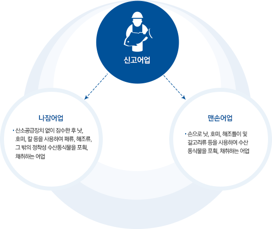 신고어업의 종류