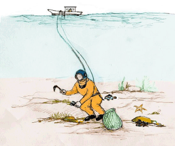 [그림2] 잠수기어업 조업모식도