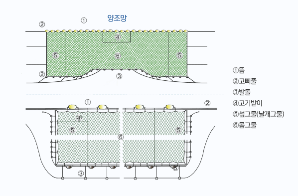 [그림1] 연안선망 어구 겨냥도