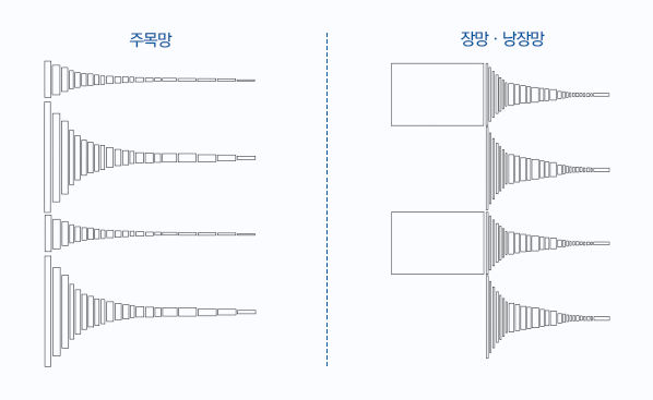 [그림2] 장망류 표준어구 구성도