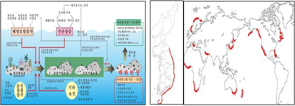 [좌]갯녹음 발생 오식도 / [우]국내·외 갯녹음 발생 해역(붉은색부분)